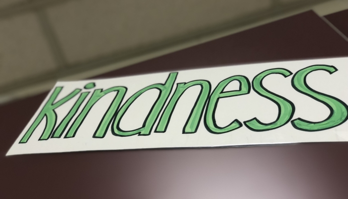 The picture I uploaded is a poster that says kindness. It has black outlined letters filled in with green on a white paper. The paper is hung up on a purple cupboard.